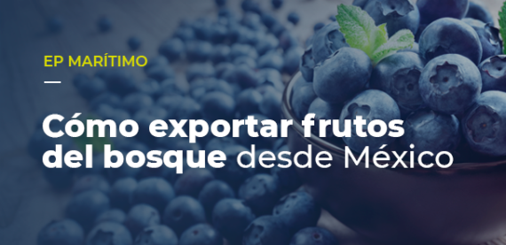 Cómo exportar frutos del bosque desde México
