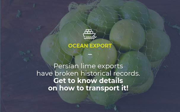 Picture of a bag of persian lime. OCEAN EXPORT Persian lime exports have broken historical records. Get to know details on how to transport it!